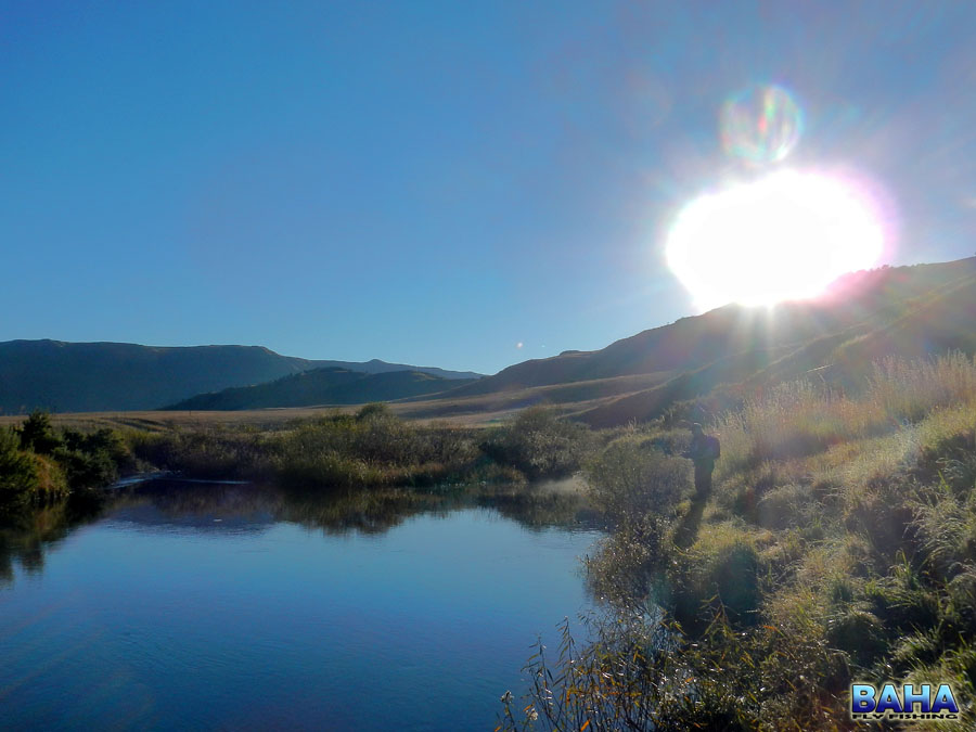 Nick fishing a pool on the Bushman's River at sunrise