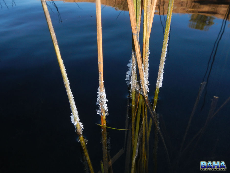 Cold starts on the water