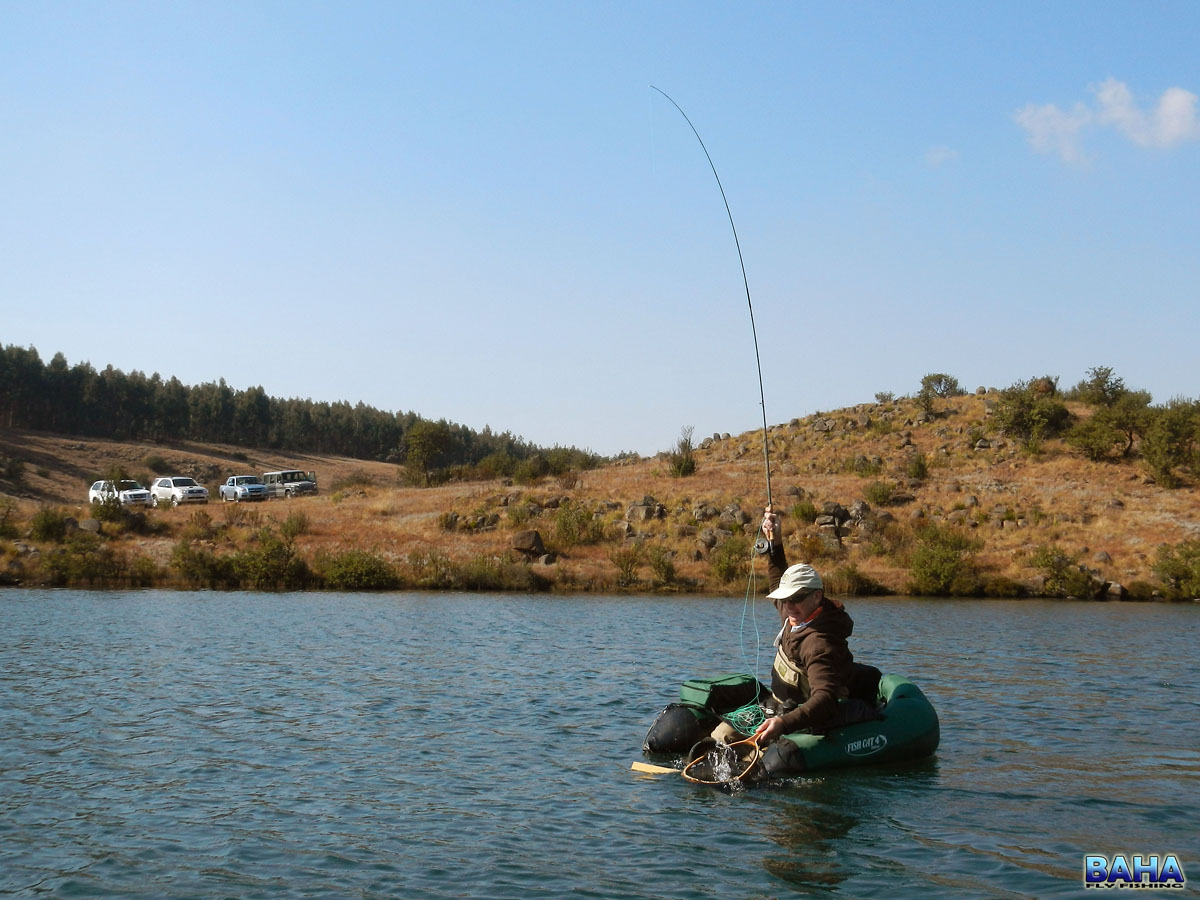 Dave landing a nice rainbow trout at Star Dam