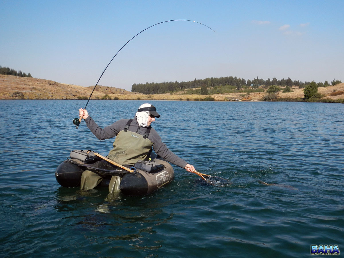 Warren landing a trout at Star Dam