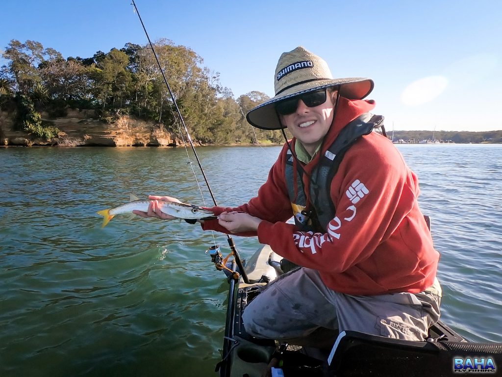 A barracuda caught on lure at Lake Macquarie