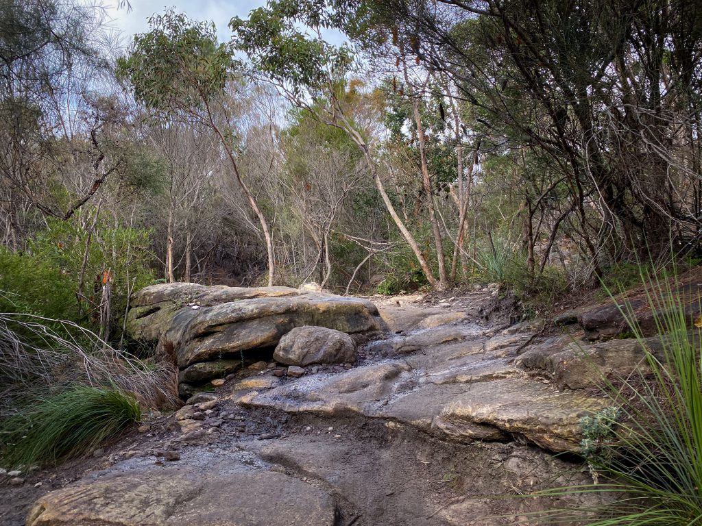 Manly Dam trail