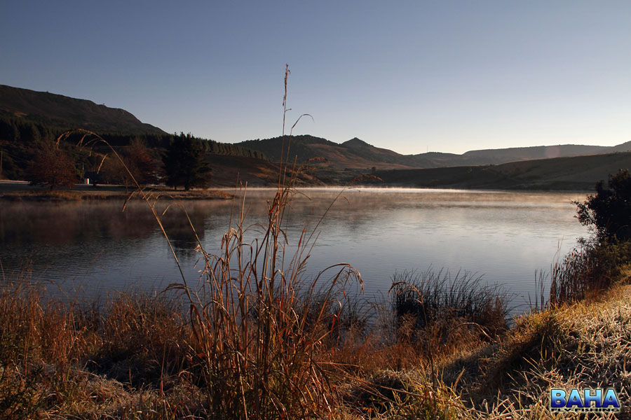 A misty Neil McKenzies