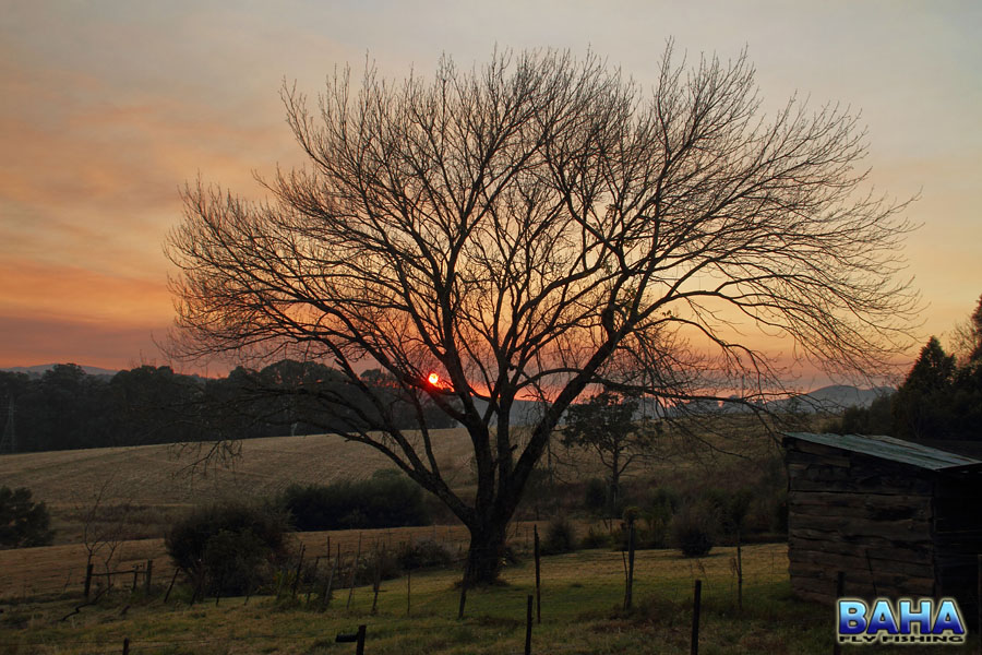Sunrise at our cottage