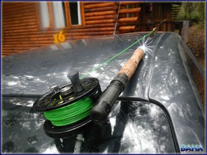 Fly Rod In Preparation
