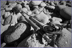 Fly Rods At The Bushmans
