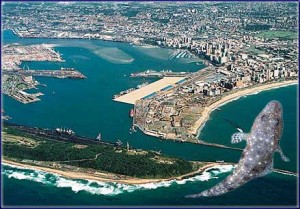 The Durban Harbour