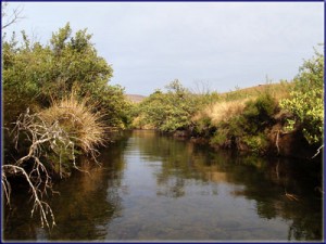 Stretch Of The Mooi River