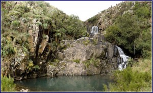 Jacobs Ladder