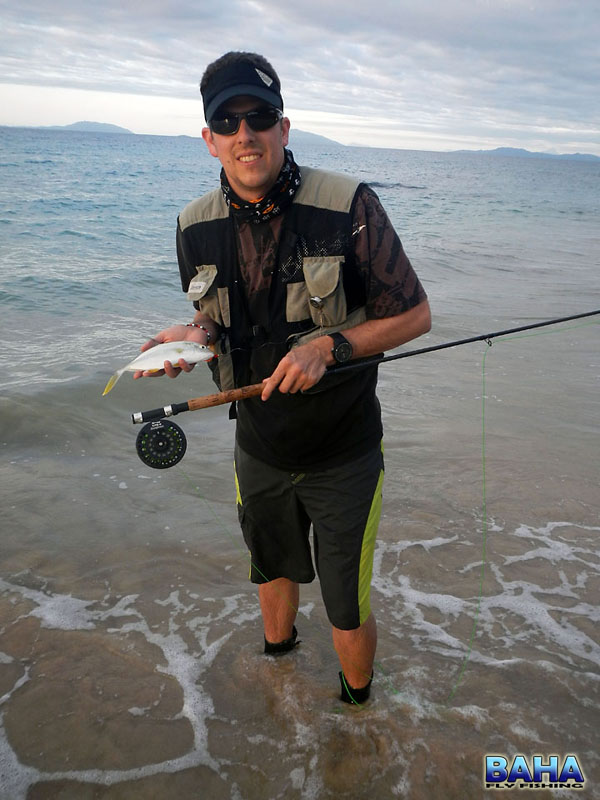 A brassy kingfish caught at Mahalina, Madagascar