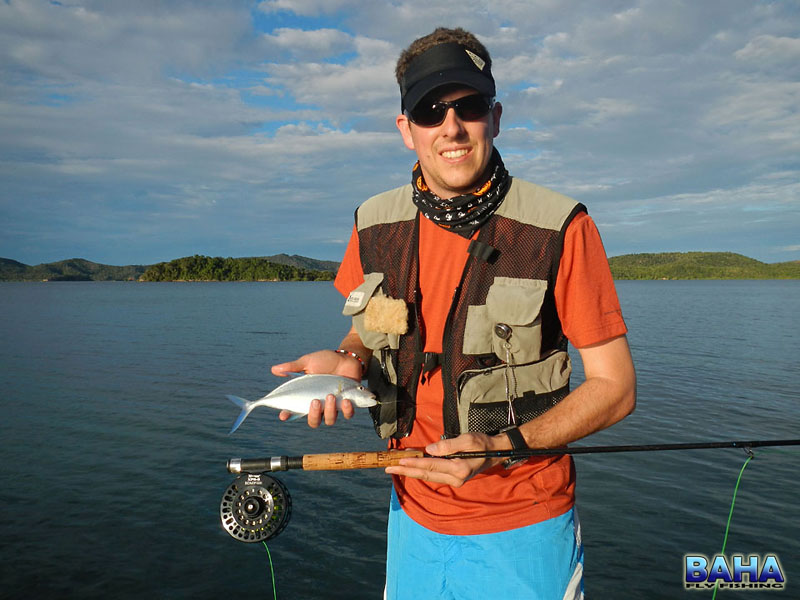 A small bluefin kingfish caught on fly in Madagascar