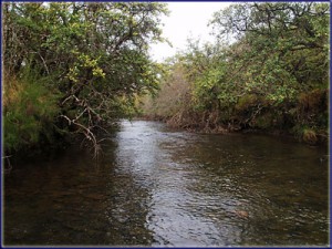 The Mooi River