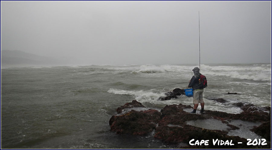 Cape Vidal Teaser Image