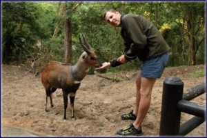 Warren Prior Feeding A Bushbuck