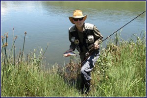 Small Kamberg Trout